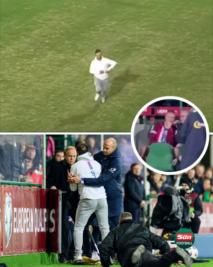 太陽報(bào)：在挪威和摩爾多瓦的比賽中，一球迷試圖沖入球場找哈蘭德